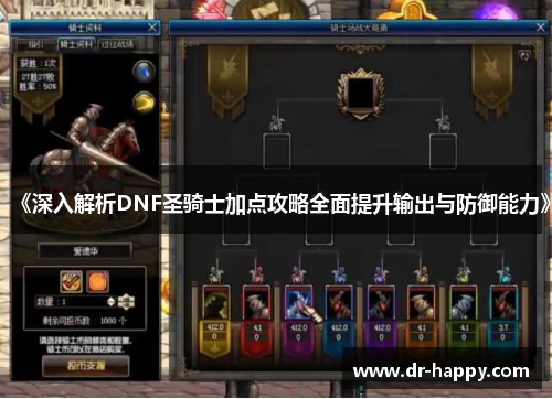 《深入解析DNF圣骑士加点攻略全面提升输出与防御能力》