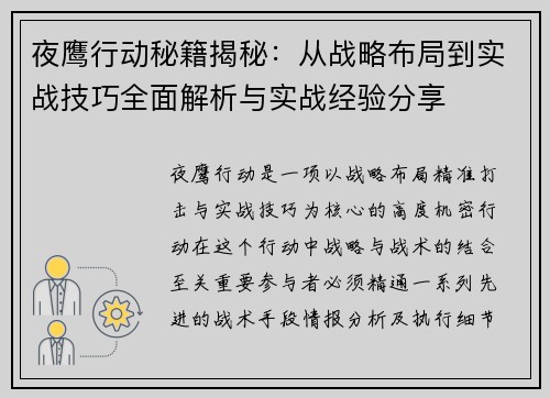 夜鹰行动秘籍揭秘：从战略布局到实战技巧全面解析与实战经验分享